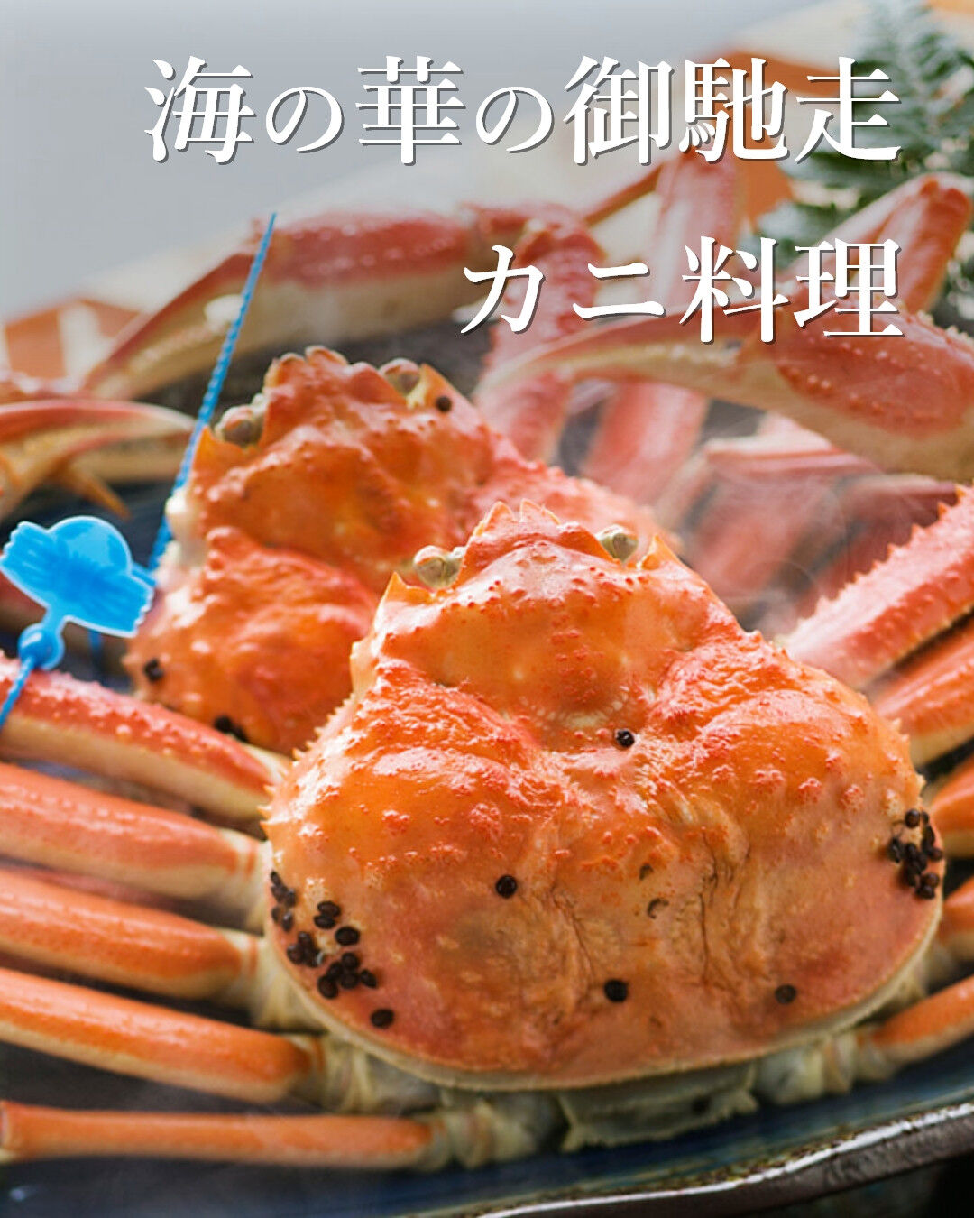 📢 10月17日(土)、キャンセルが出ました！